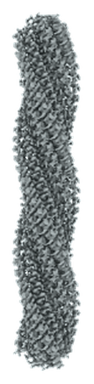 GF-3BH2 Structure on a transparent background